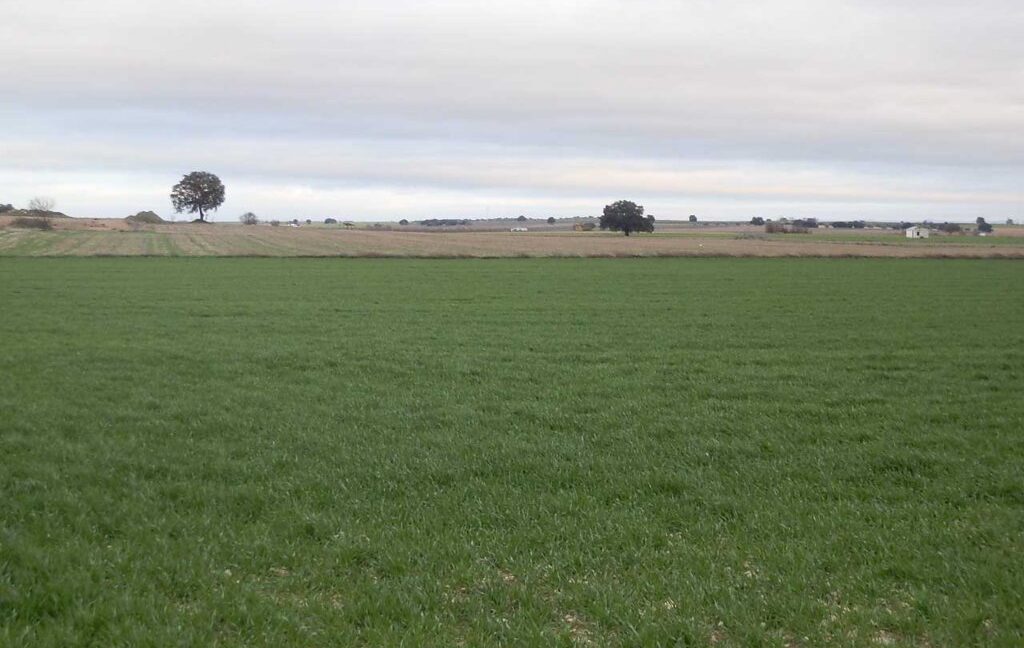 694_fincas-en-venta-045