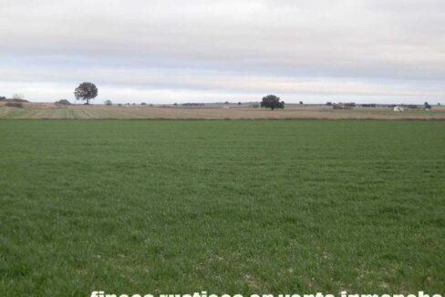 694_fincas-en-venta-045