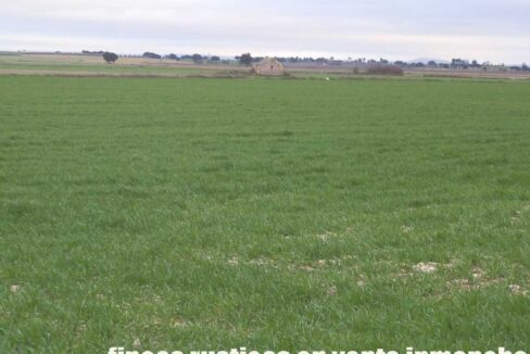 694_fincas-en-venta-046