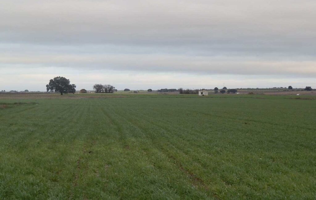 694_fincas-en-venta-048