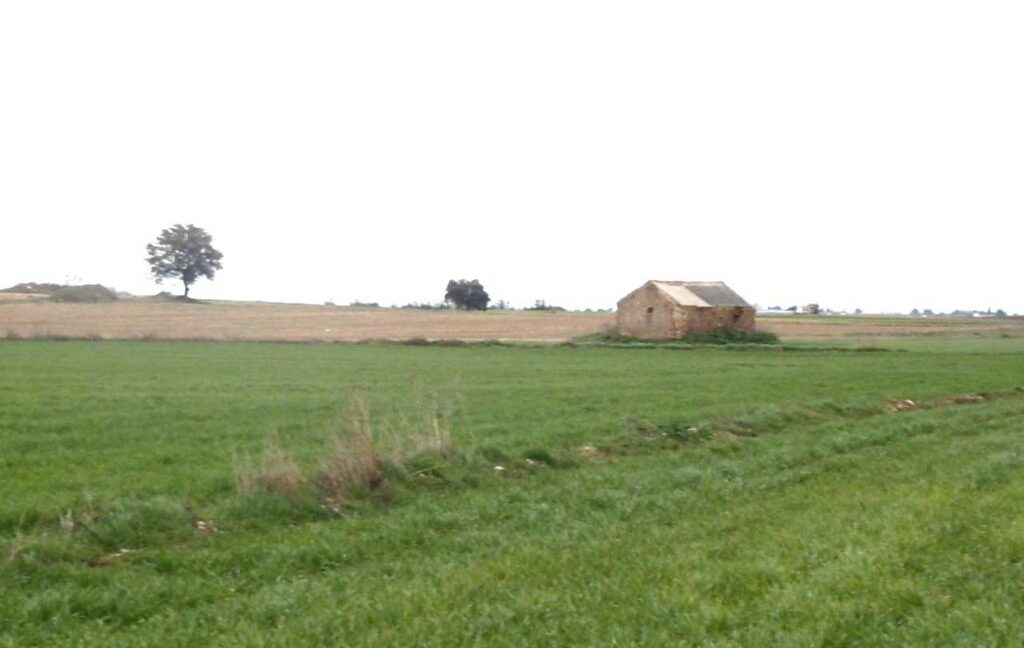 694_fincas-en-venta-049
