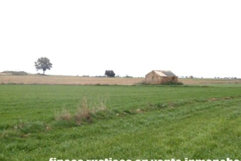 694_fincas-en-venta-049