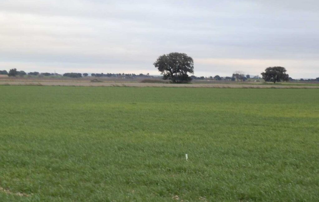 694_fincas-en-venta-050