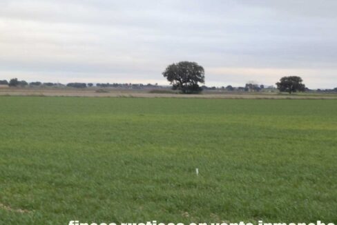 694_fincas-en-venta-050