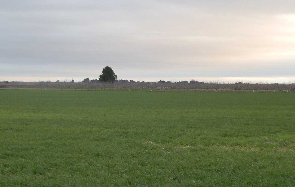694_fincas-en-venta-051