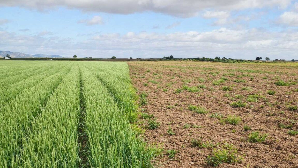 694_fincas-en-venta-1