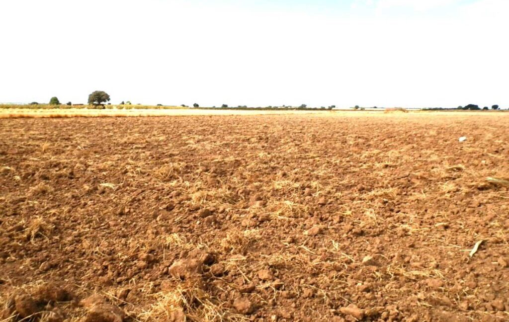 694_fincas-en-venta-10