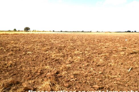 694_fincas-en-venta-10