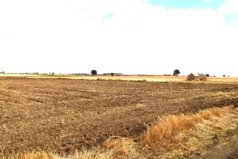 694_fincas-en-venta-11