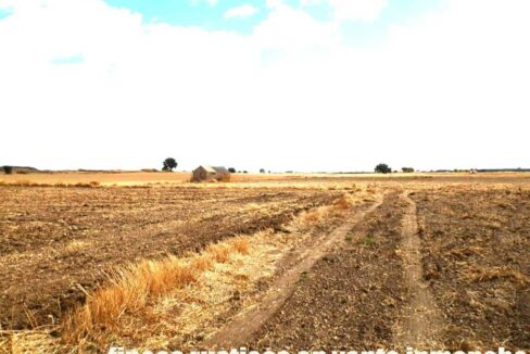 694_fincas-en-venta-12