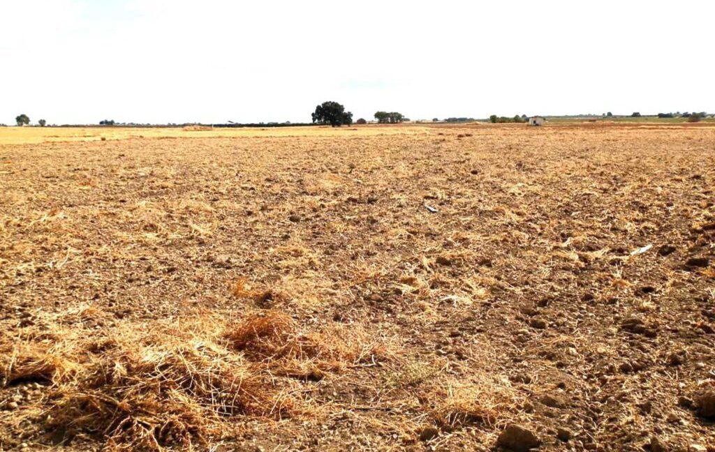 694_fincas-en-venta-6