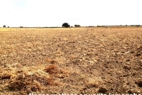 694_fincas-en-venta-6