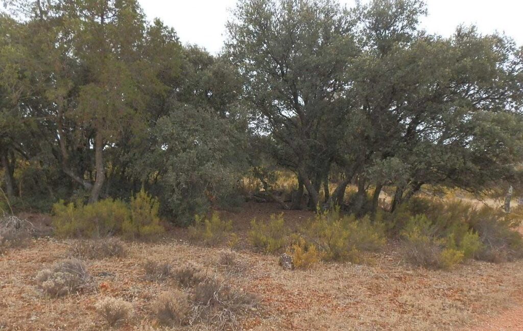 695_fincas-en-venta-40