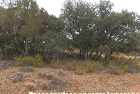 695_fincas-en-venta-40