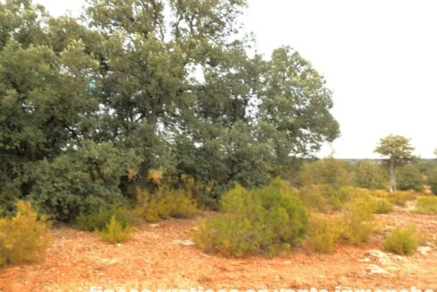 695_fincas-en-venta-65