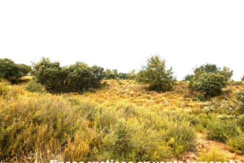 695_fincas-en-venta-68