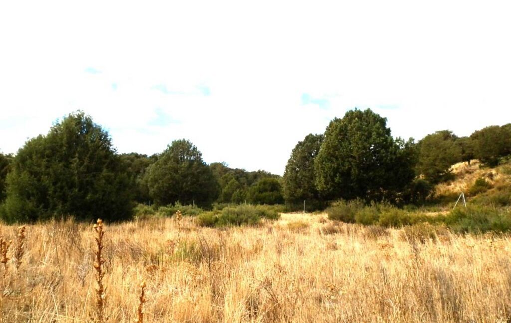 695_fincas-en-venta-72