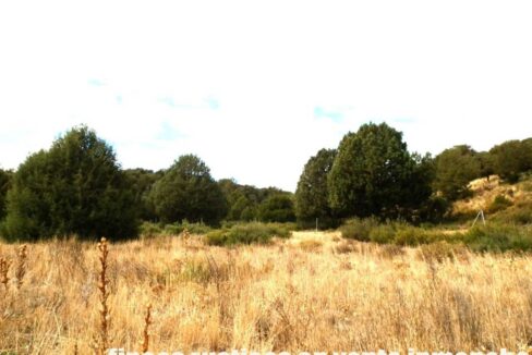 695_fincas-en-venta-72