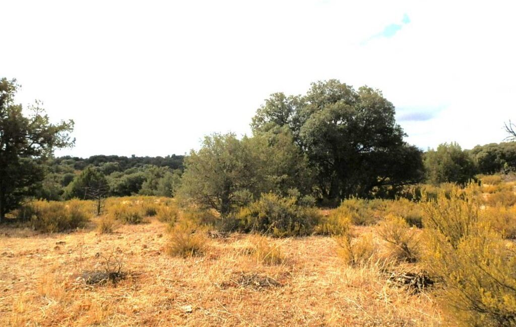 695_fincas-en-venta-75