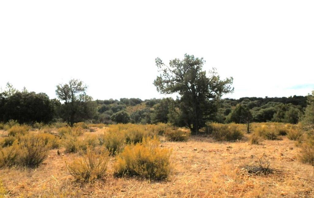 695_fincas-en-venta-76