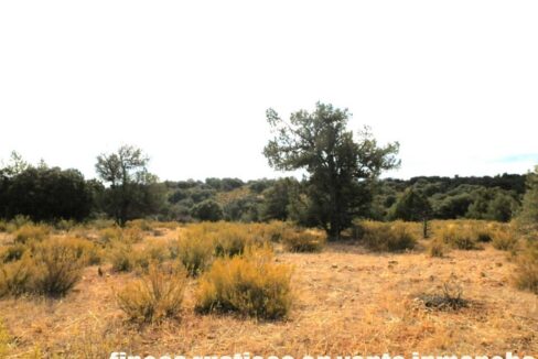 695_fincas-en-venta-76