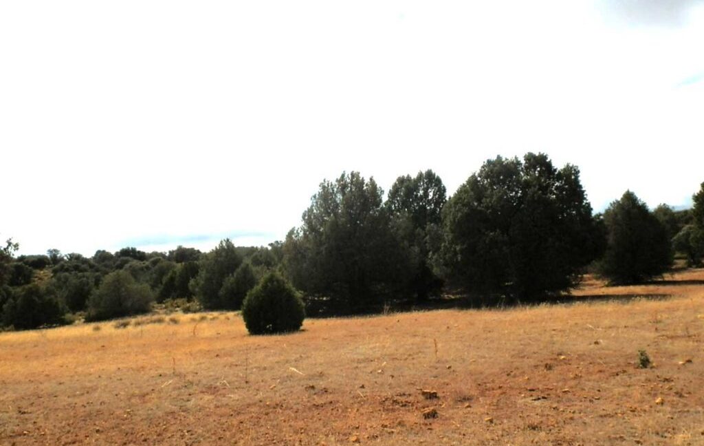 695_fincas-en-venta-77