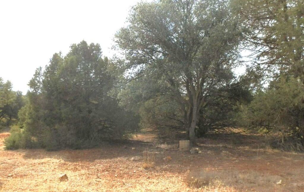 695_fincas-en-venta-79