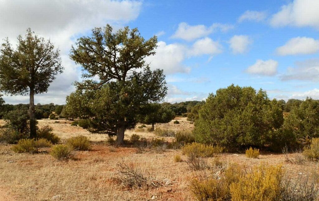 695_fincas-en-venta-80