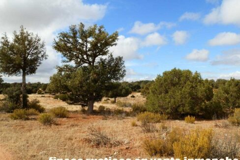 695_fincas-en-venta-80