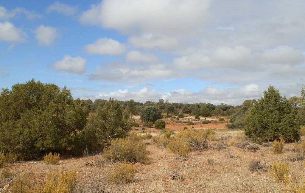 695_fincas-en-venta-81