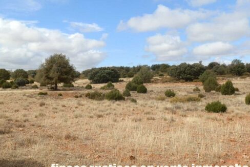 695_fincas-en-venta-84