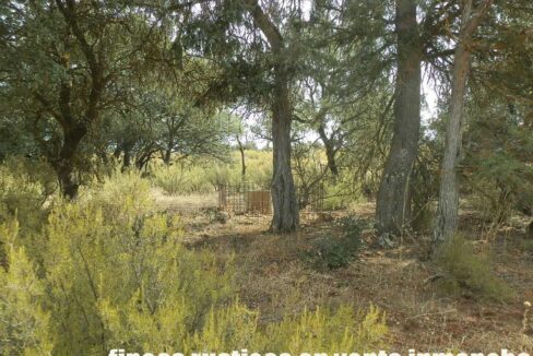 695_fincas-en-venta-85