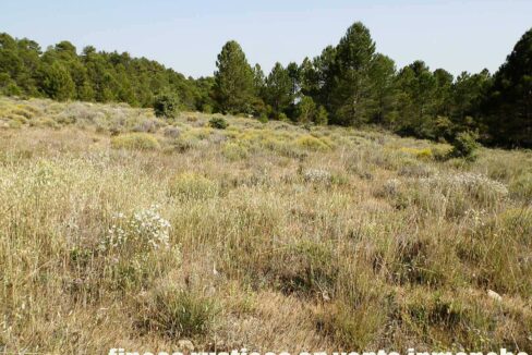 696_fincas-en-venta-14