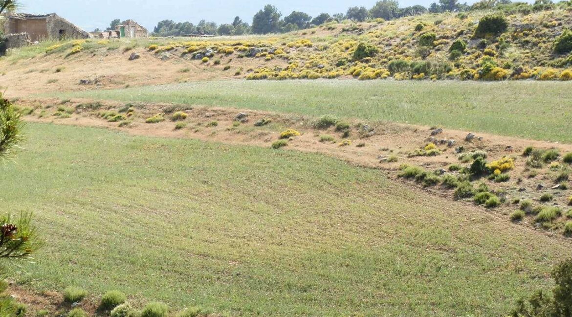 696_fincas-en-venta-15