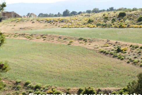 696_fincas-en-venta-15