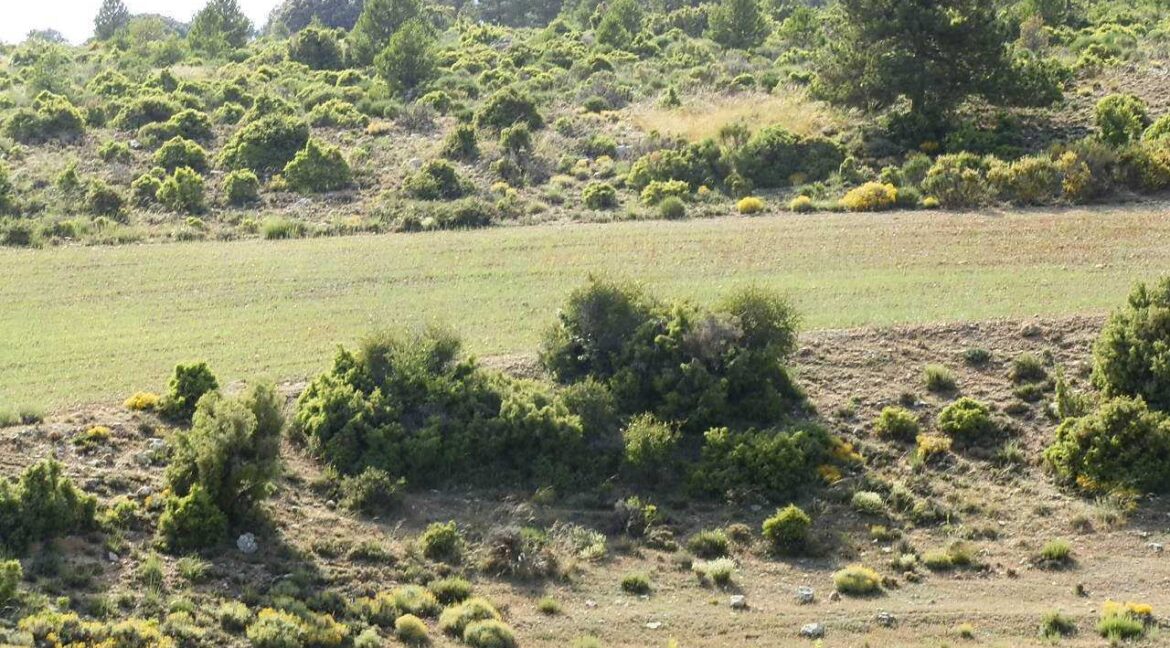 696_fincas-en-venta-16