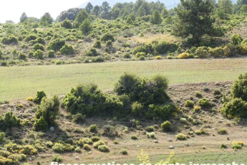 696_fincas-en-venta-16