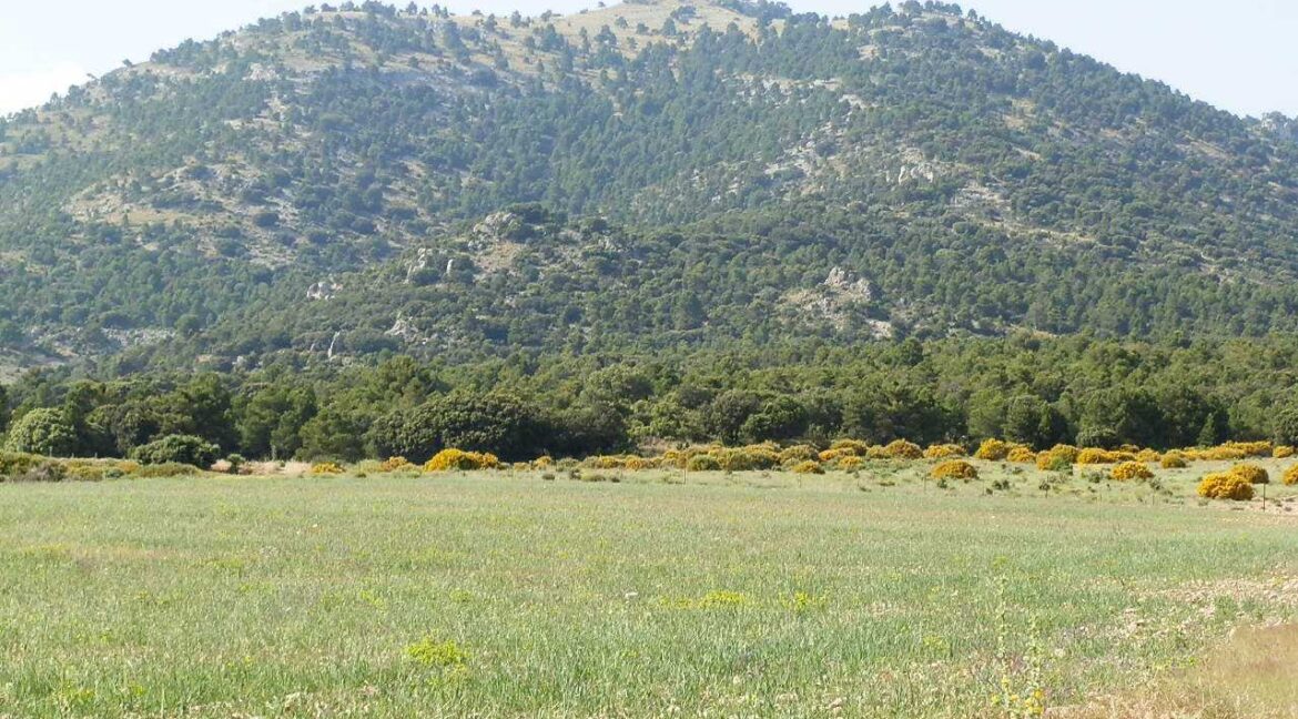 696_fincas-en-venta-18