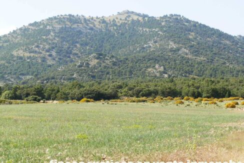 696_fincas-en-venta-18