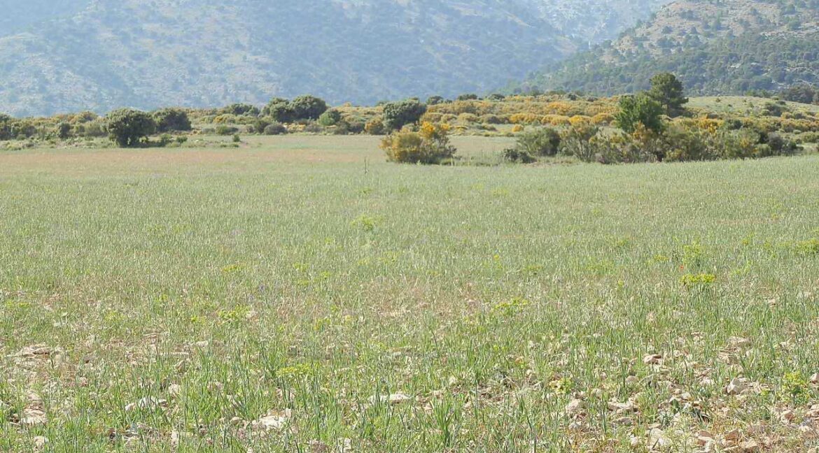 696_fincas-en-venta-19