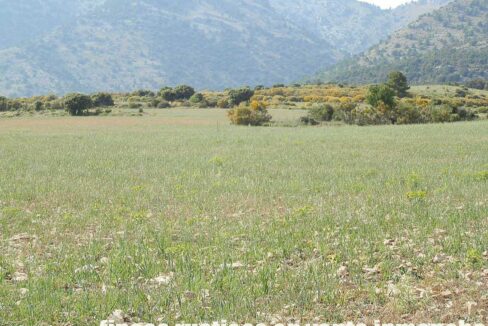 696_fincas-en-venta-19