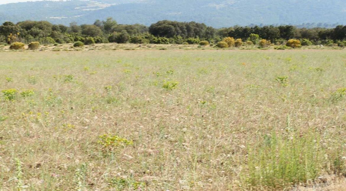 696_fincas-en-venta-20