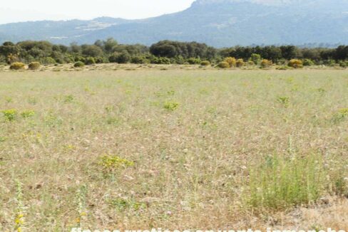 696_fincas-en-venta-20