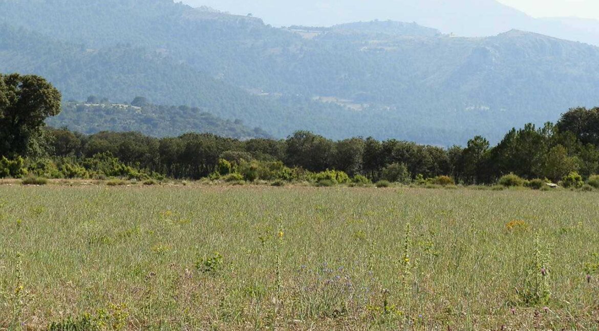 696_fincas-en-venta-21