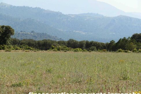 696_fincas-en-venta-21