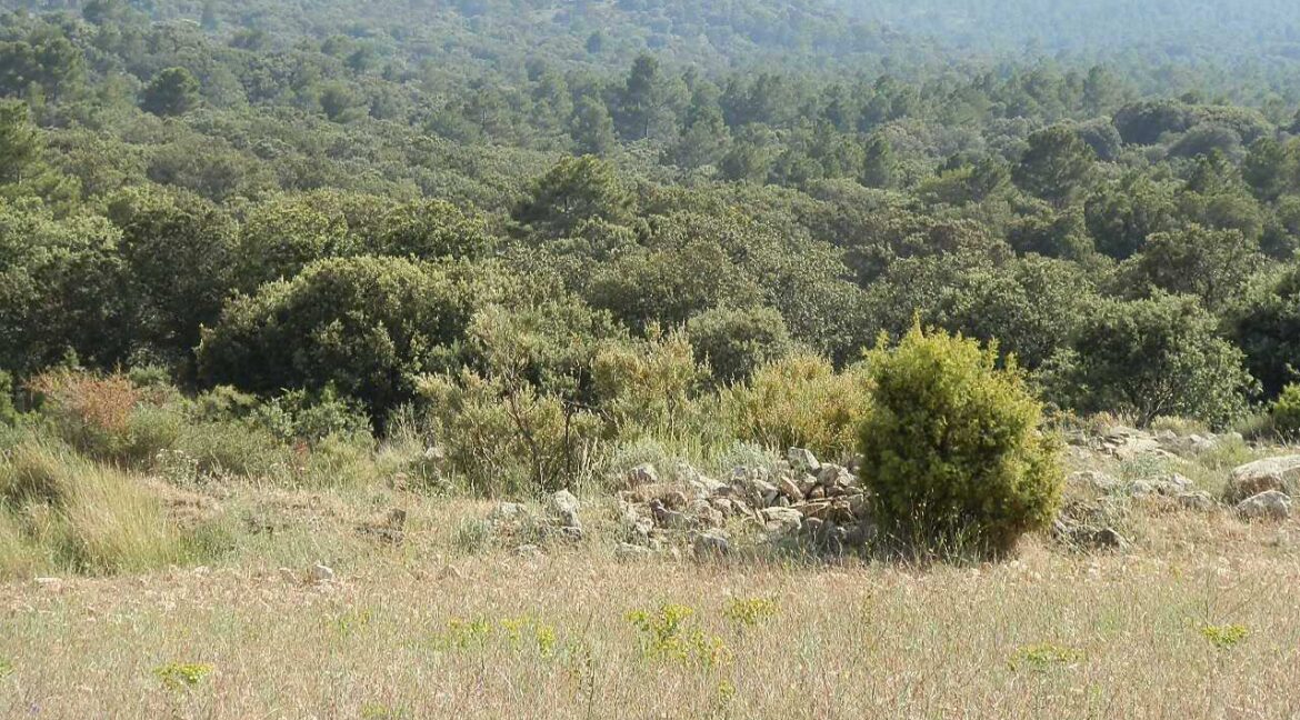 696_fincas-en-venta-22