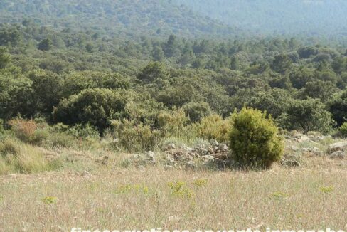 696_fincas-en-venta-22