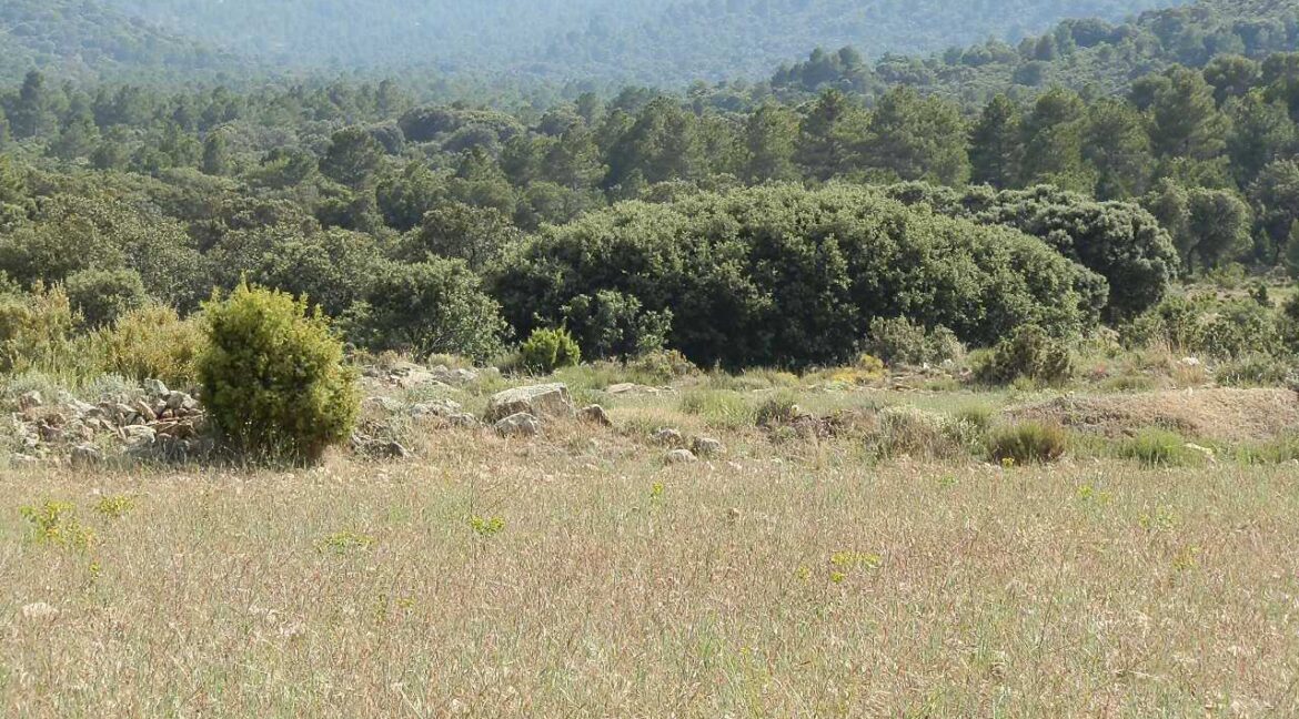 696_fincas-en-venta-23