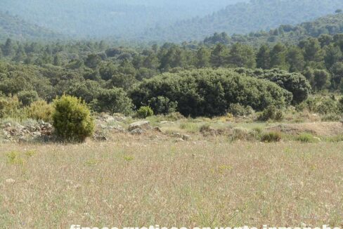 696_fincas-en-venta-23