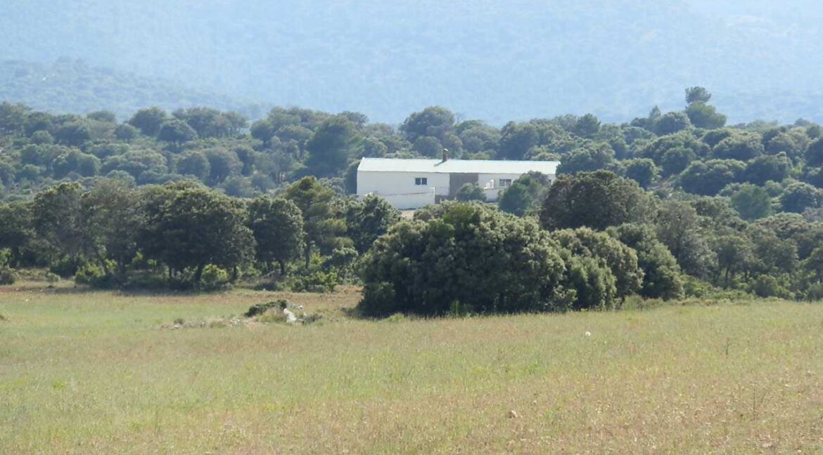 696_fincas-en-venta-24